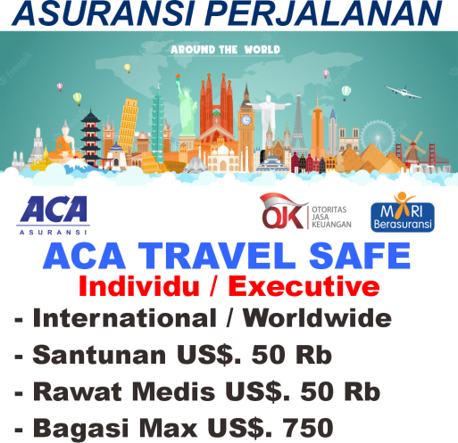 asuransi perjalanan - travel save - international - executive